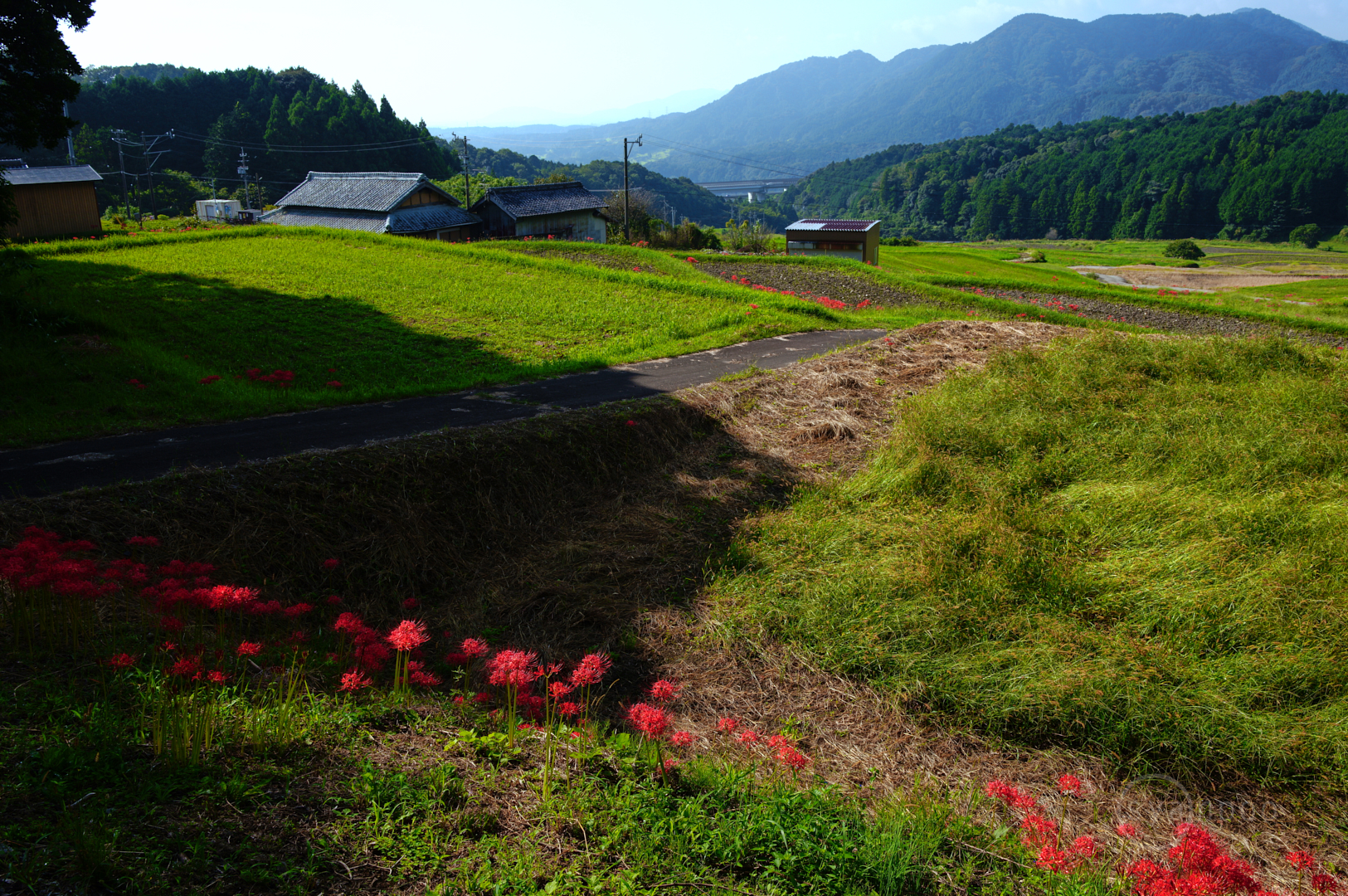 https://www.yaotomi.co.jp/blog/walk/SDIM1406%2C28%20mm%2CF10%2C1-50%20%E7%A7%92%2Ciso100%28JPEG%29.jpg