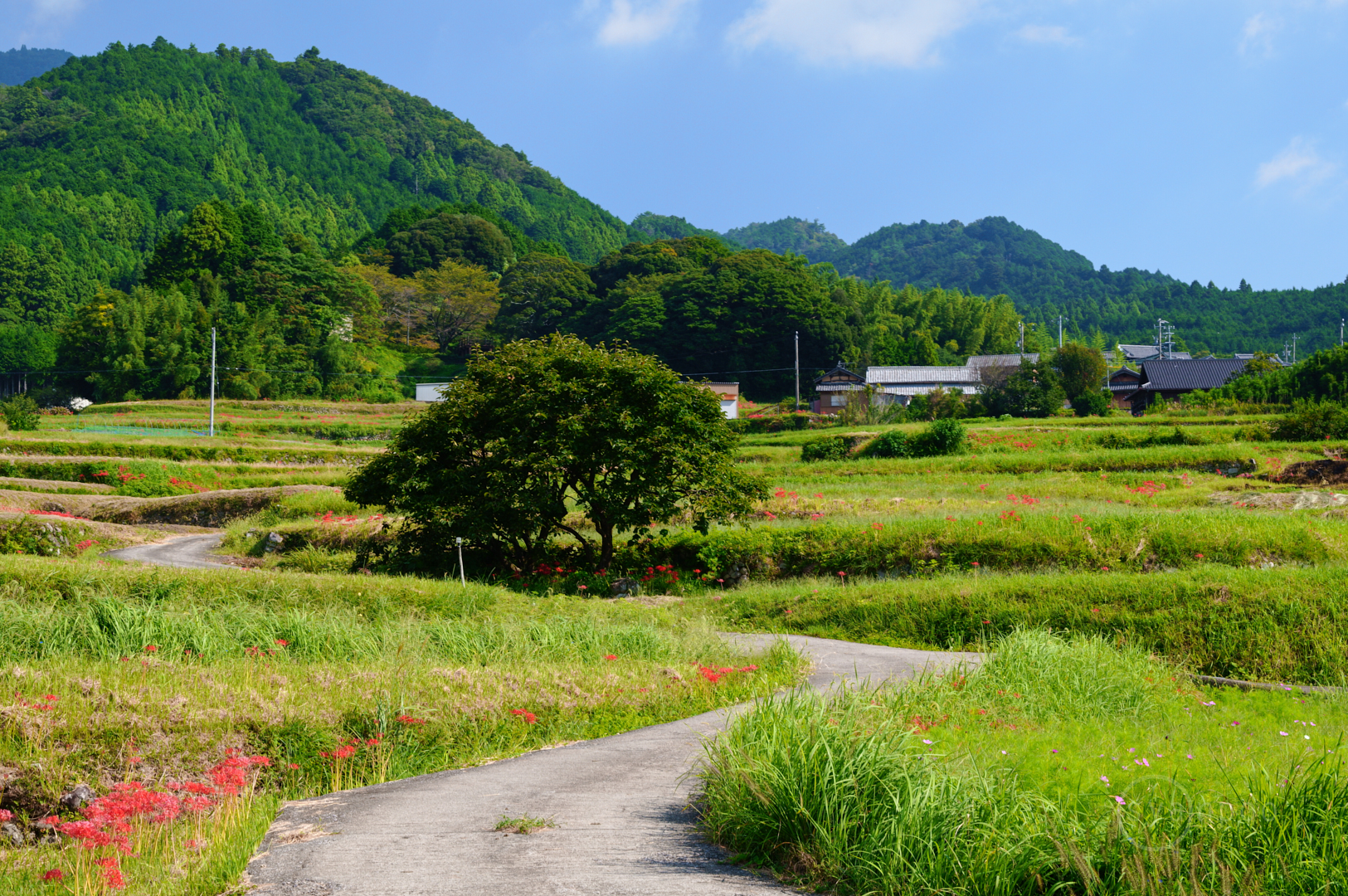 https://www.yaotomi.co.jp/blog/walk/SDIM1639%2C60%20mm%2CF11%2C1-60%20%E7%A7%92%2Ciso250%28JPEG%29.jpg