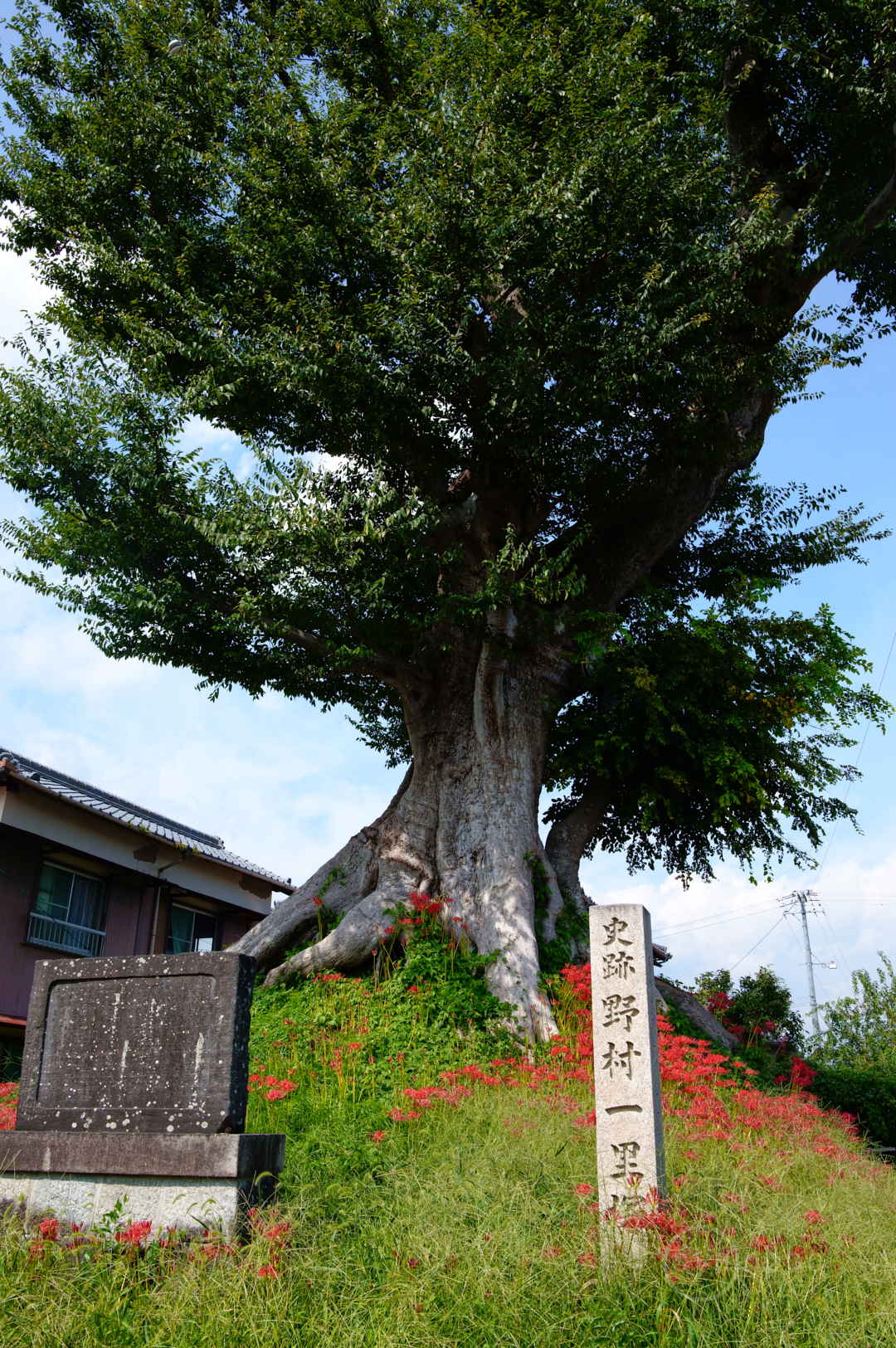 https://www.yaotomi.co.jp/blog/walk/SDIM1783%2C28%20mm%2CF11%2C1-200%20%E7%A7%92%2Ciso640%28JPEG%29.jpg