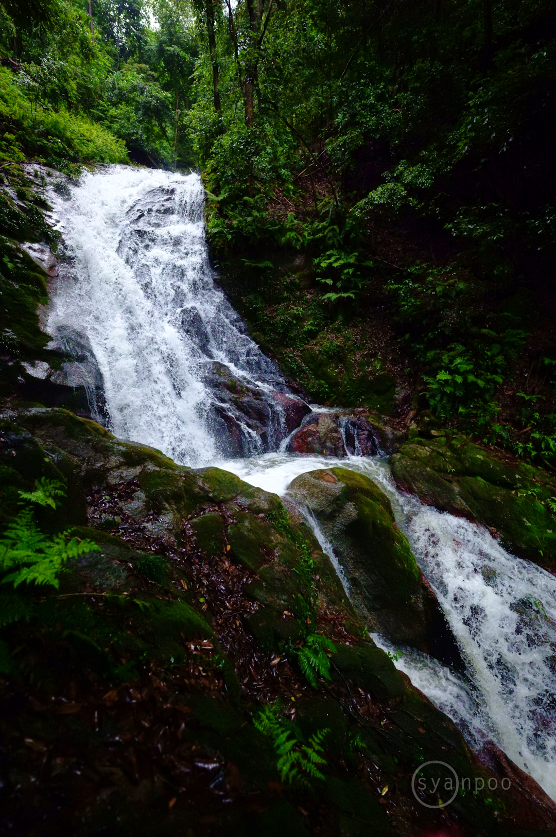 https://www.yaotomi.co.jp/blog/walk/SDIM2957%2C14%20mm%2CF1.4%2Ciso10000%28JPEG%29.jpg