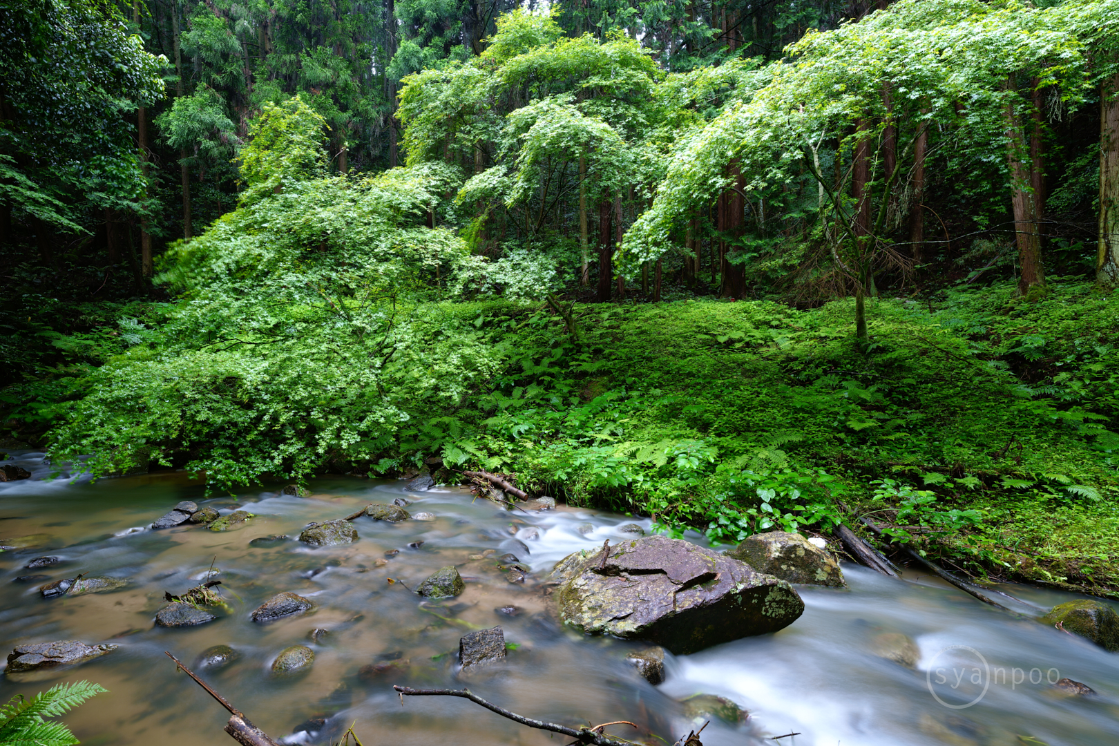 https://www.yaotomi.co.jp/blog/walk/SDIM3005%2C14%20mm%2CF9%2Ciso6%28JPEG%29.jpg