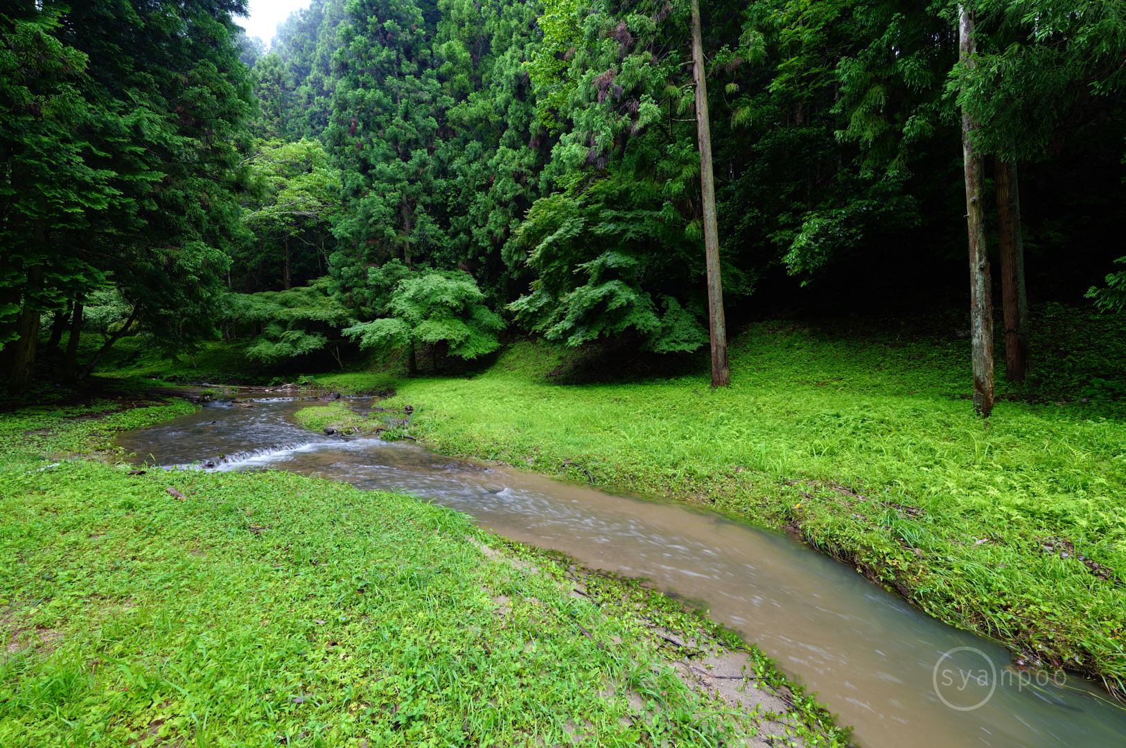 https://www.yaotomi.co.jp/blog/walk/SDIM3029%2C14%20mm%2CF8%2Ciso100%28JPEG%29.jpg