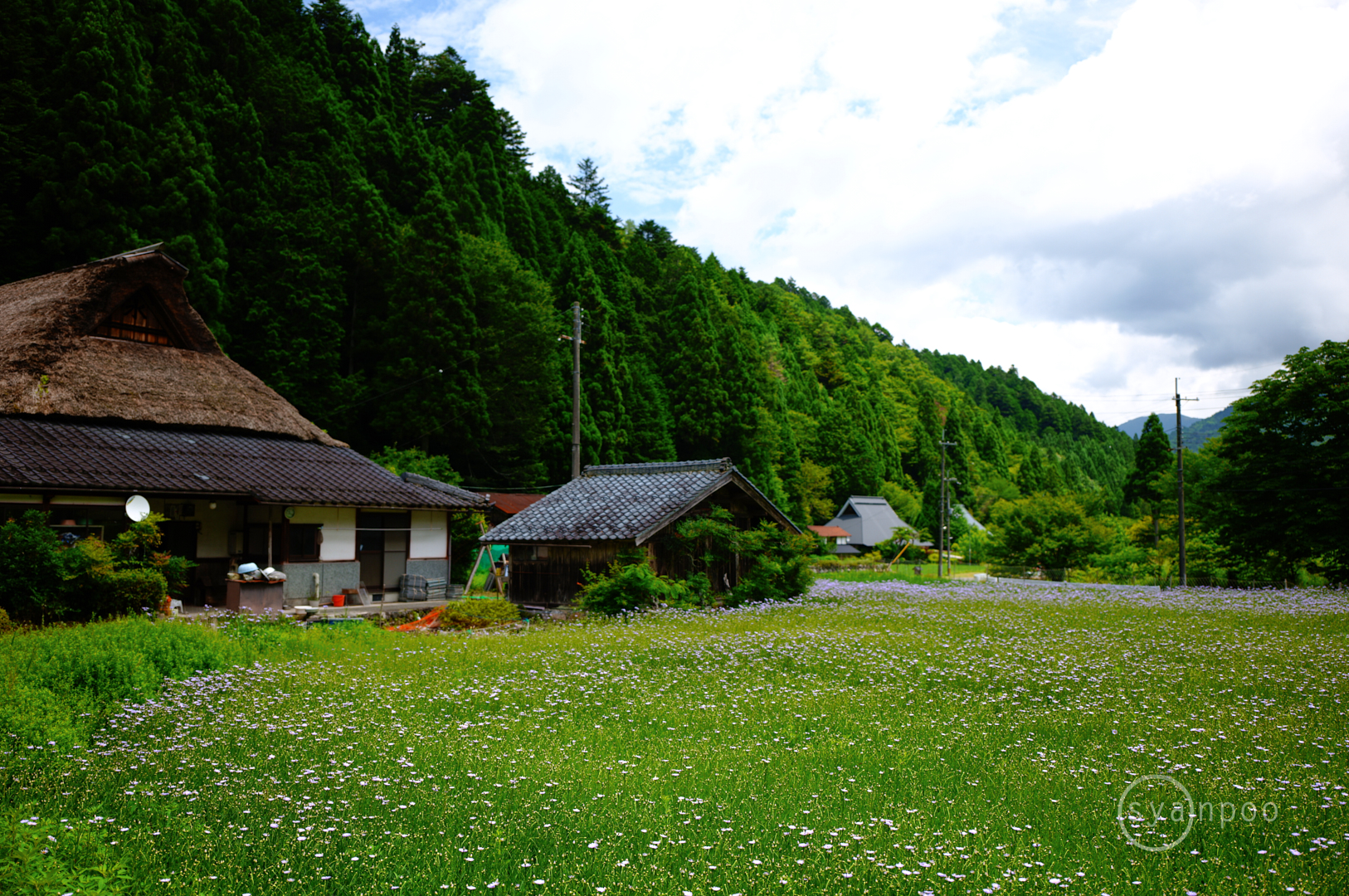 https://www.yaotomi.co.jp/blog/walk/SDIM4476%2C28%20mm%2CF1.8%2Ciso100%28JPEG%29%201.jpg