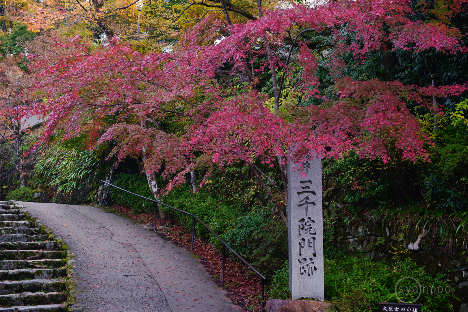 https://www.yaotomi.co.jp/blog/walk/SDIM4550%2C35%20mm%2CF4.5%2Ciso200%28JPEG%29.jpg