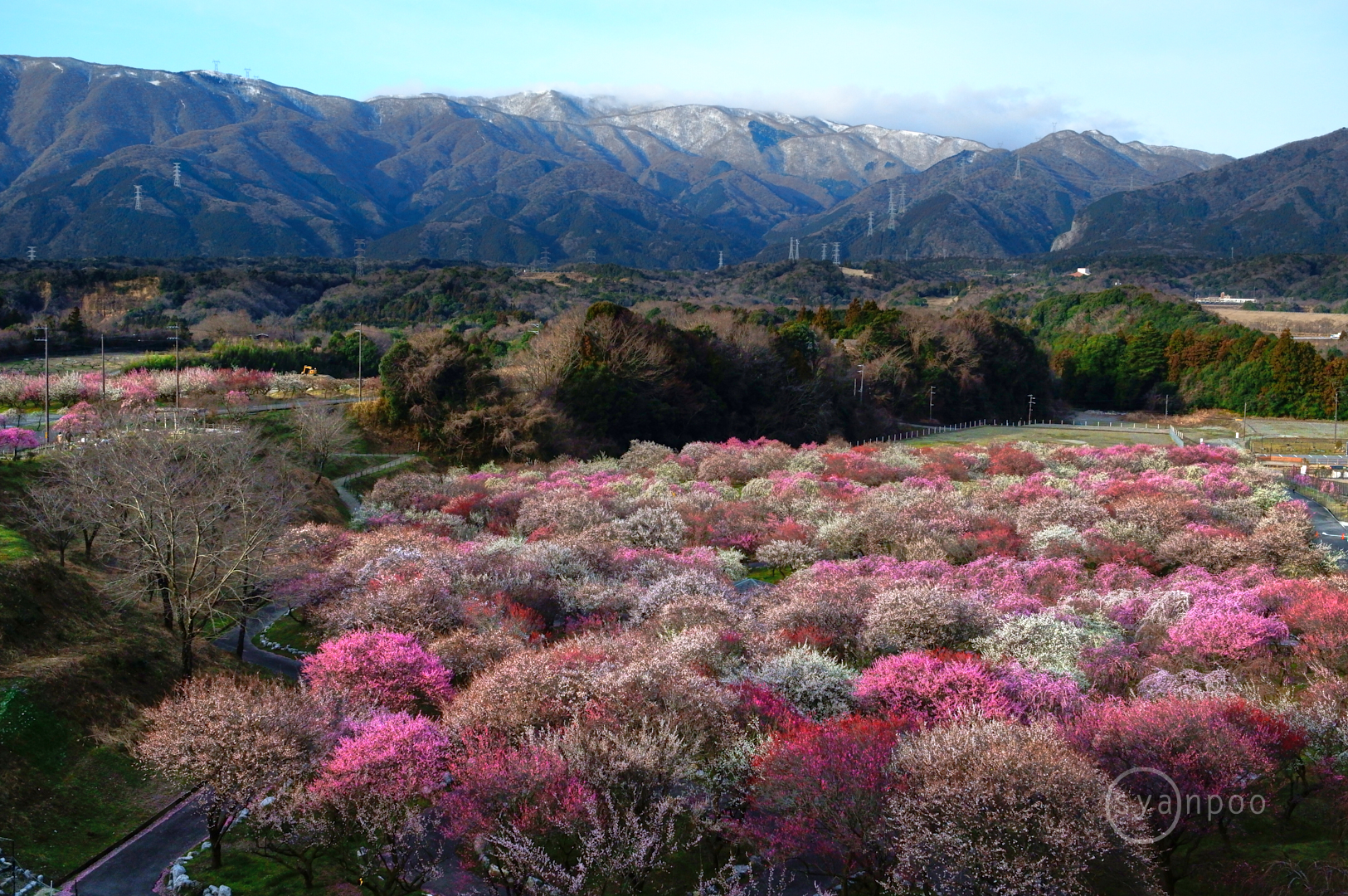 https://www.yaotomi.co.jp/blog/walk/SDIM5167%2C26%20mm%2CF6.3%2Ciso1600%28JPEG%29%201.jpg