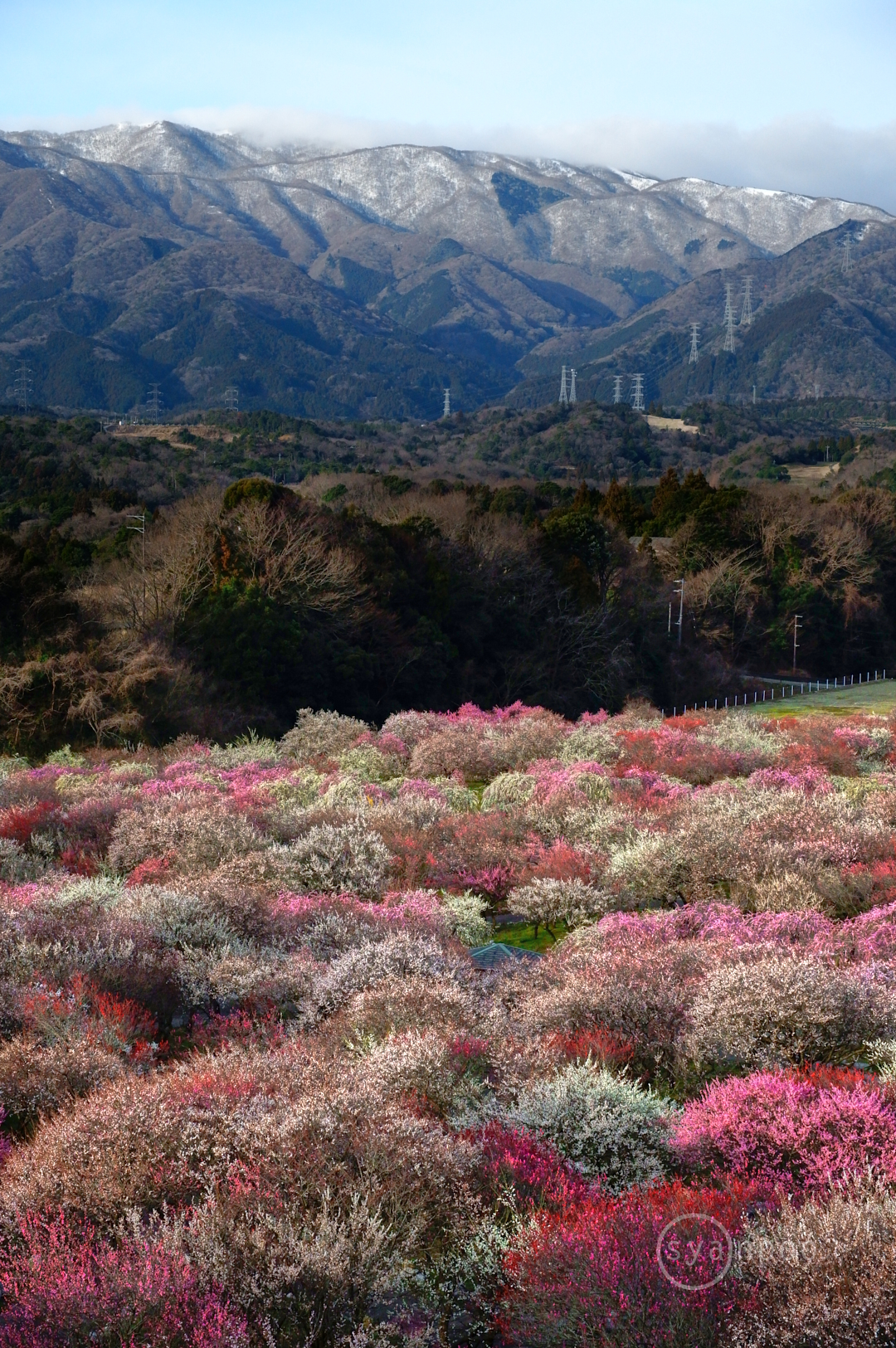 https://www.yaotomi.co.jp/blog/walk/SDIM5170%2C42%20mm%2CF6.3%2Ciso1600%28JPEG%29.jpg