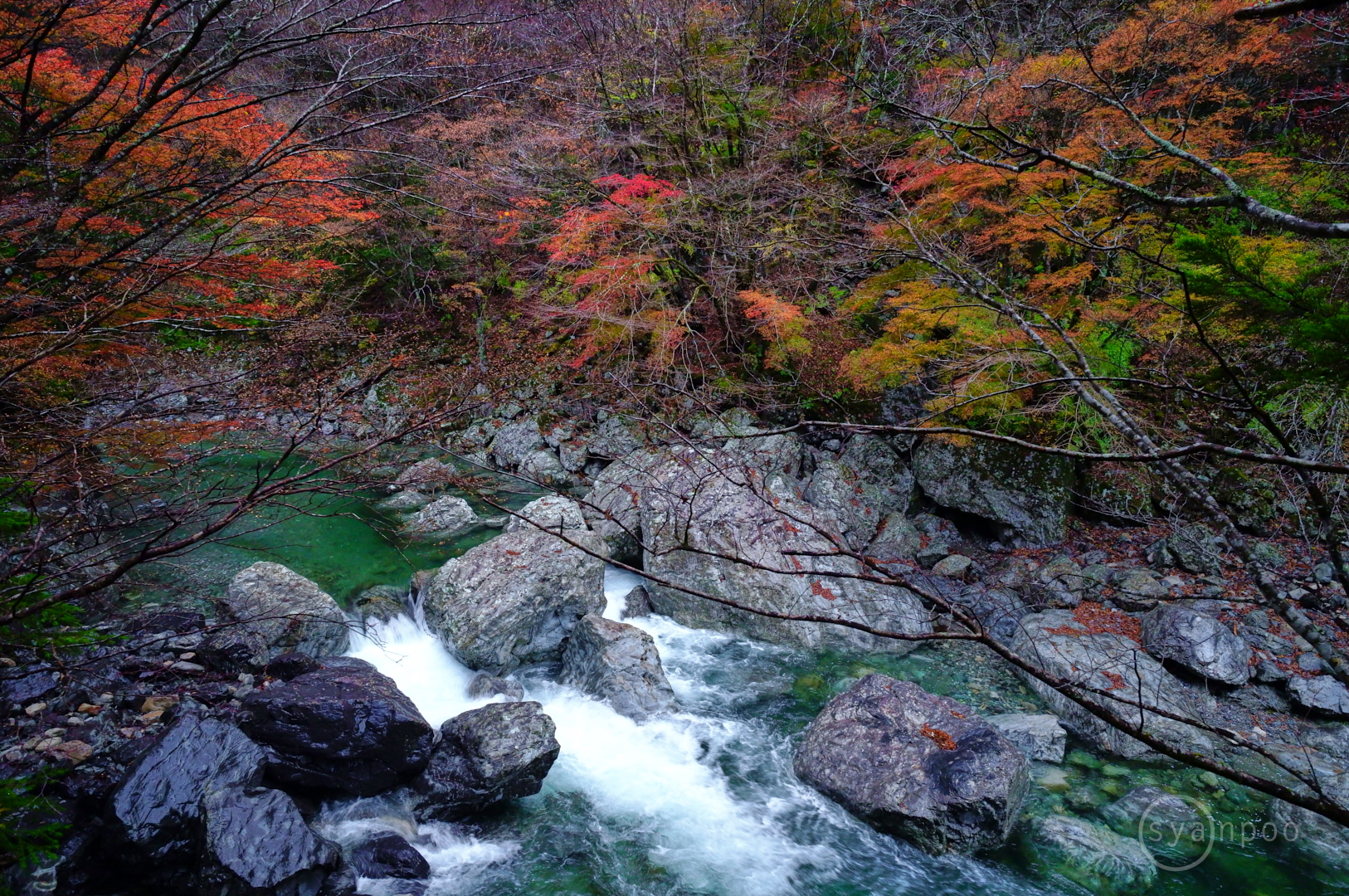 https://www.yaotomi.co.jp/blog/walk/SDIM5217%2C14%20mm%2CF5%2Ciso2500%28JPEG%29.jpg