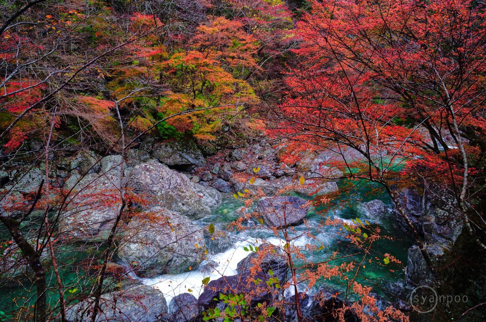 https://www.yaotomi.co.jp/blog/walk/SDIM5232%2C14%20mm%2CF5%2Ciso2000%28JPEG%29.jpg