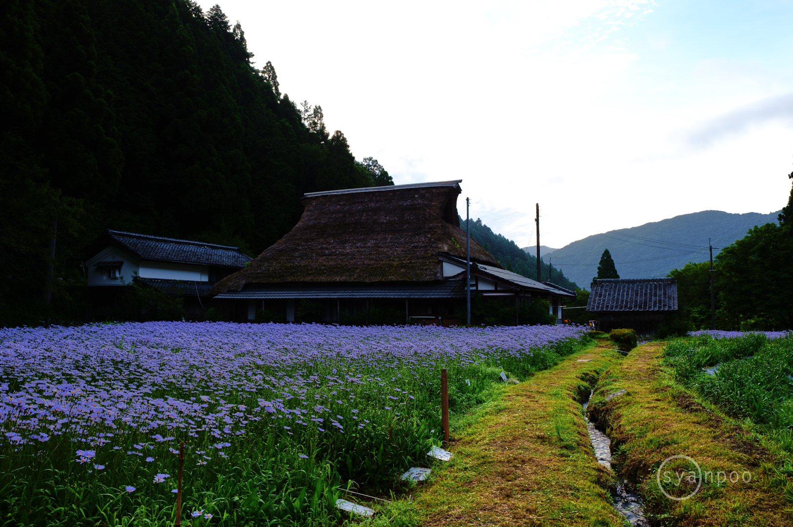 https://www.yaotomi.co.jp/blog/walk/SDIM5677%2C28%20mm%2CF9%2Ciso100%28JPEG%29.jpg