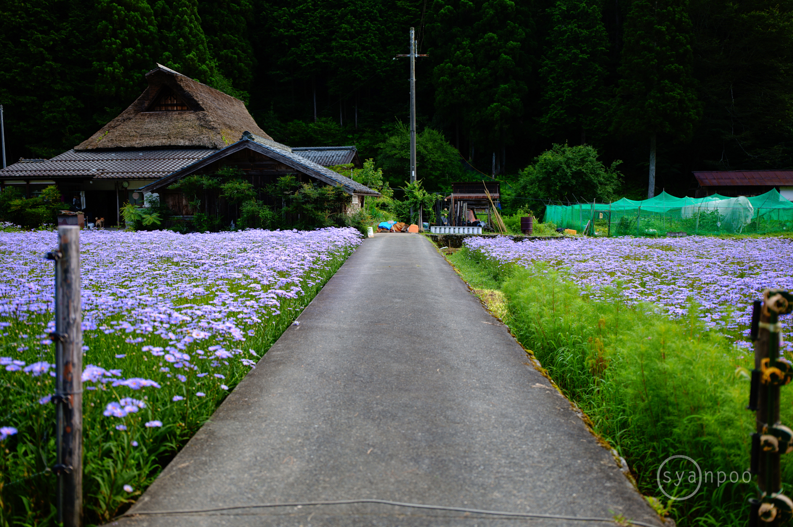 https://www.yaotomi.co.jp/blog/walk/SDIM5766%2C28%20mm%2CF1.8%2Ciso100%28JPEG%29.jpg