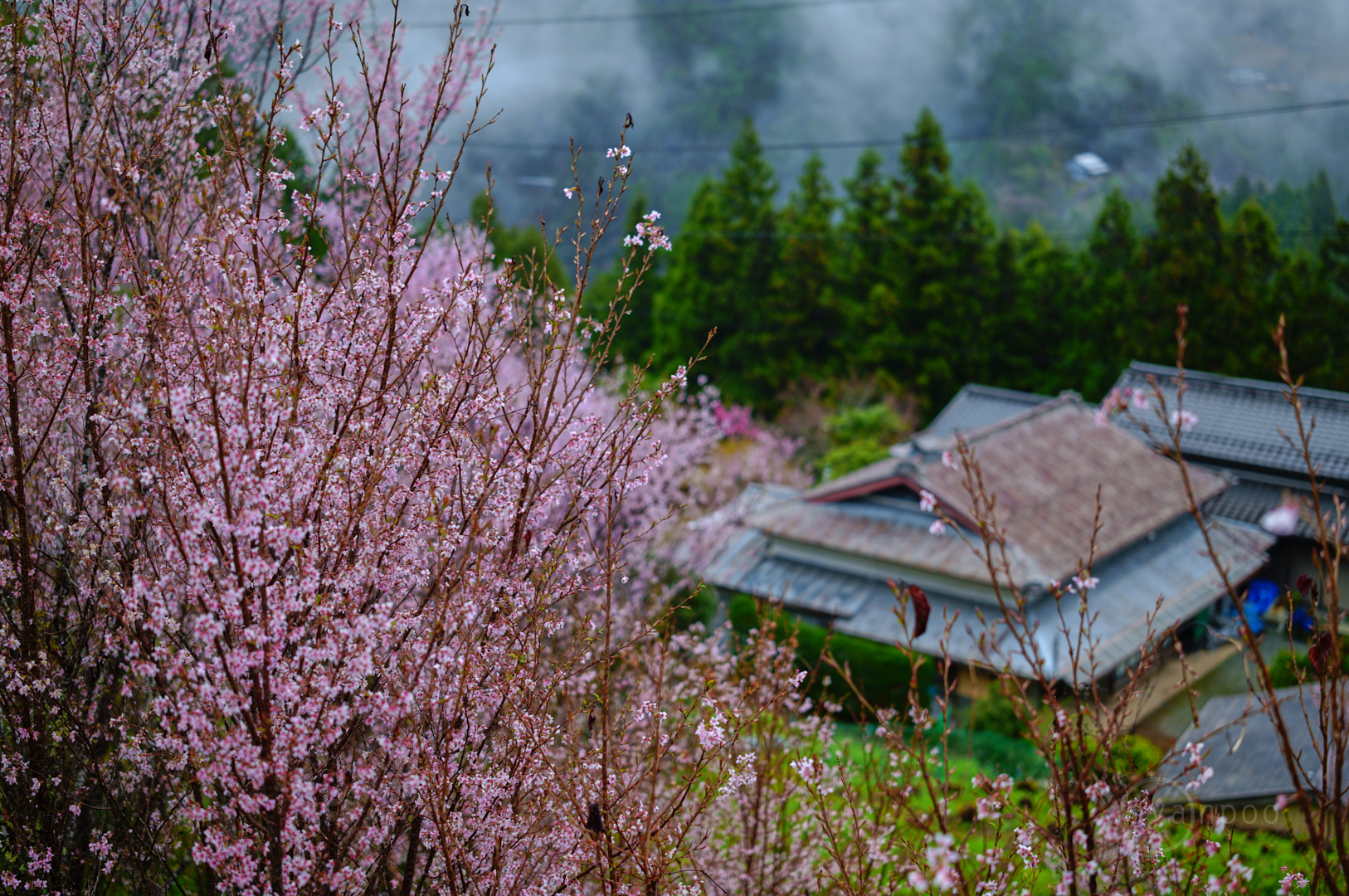 https://www.yaotomi.co.jp/blog/walk/SDIM6170%2C50%20mm%2CF2%2Ciso100%28JPEG%29.jpg