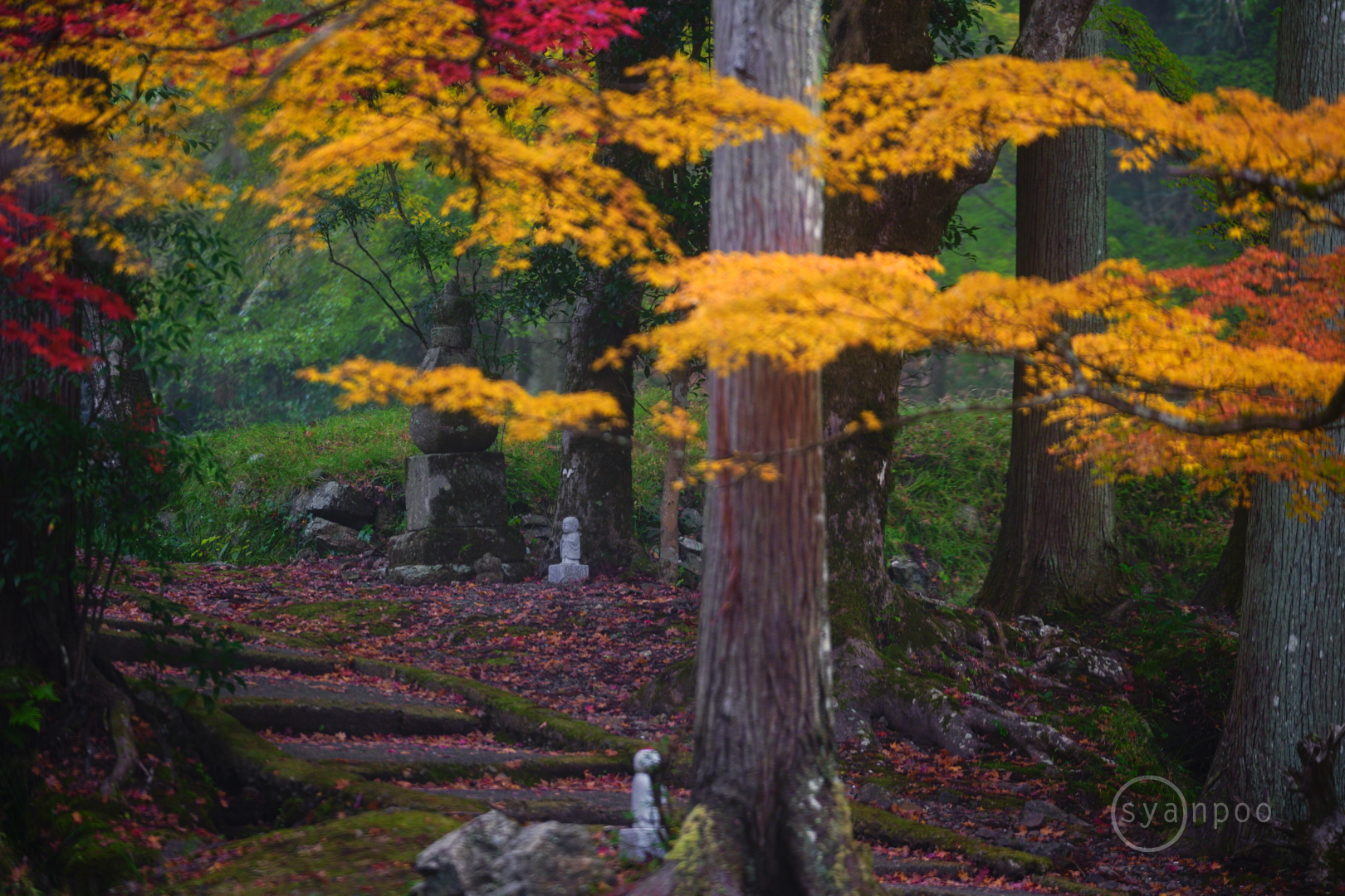 https://www.yaotomi.co.jp/blog/walk/SDIM6415%2C144%20mm%2CF2.8%2Ciso400%28JPEG%29.jpg