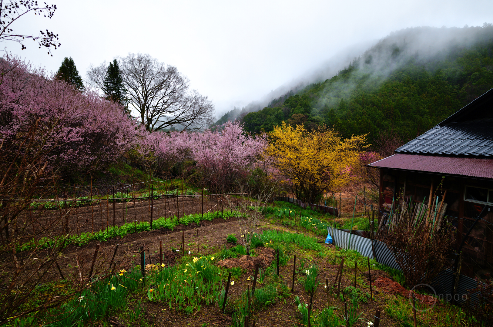 https://www.yaotomi.co.jp/blog/walk/SDIM6626%2C17%20mm%2CF6.3%2Ciso160%28JPEG%29.jpg