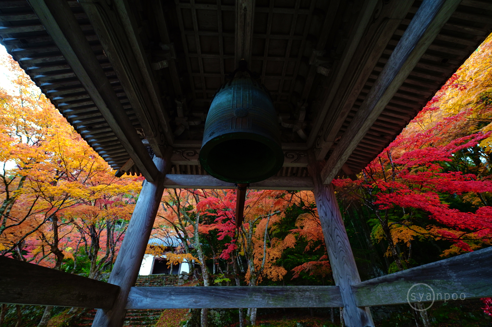 https://www.yaotomi.co.jp/blog/walk/SDIM8021%2C10%20mm%2CF5%2Ciso500%28JPEG%29.jpg