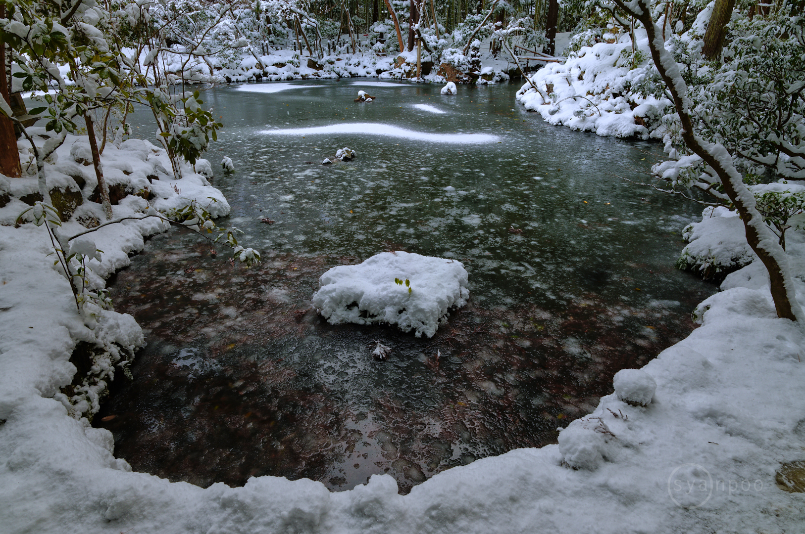 https://www.yaotomi.co.jp/blog/walk/SDIM8053%2C20%20mm%2CF11%2Ciso100%28JPEG%29.jpg