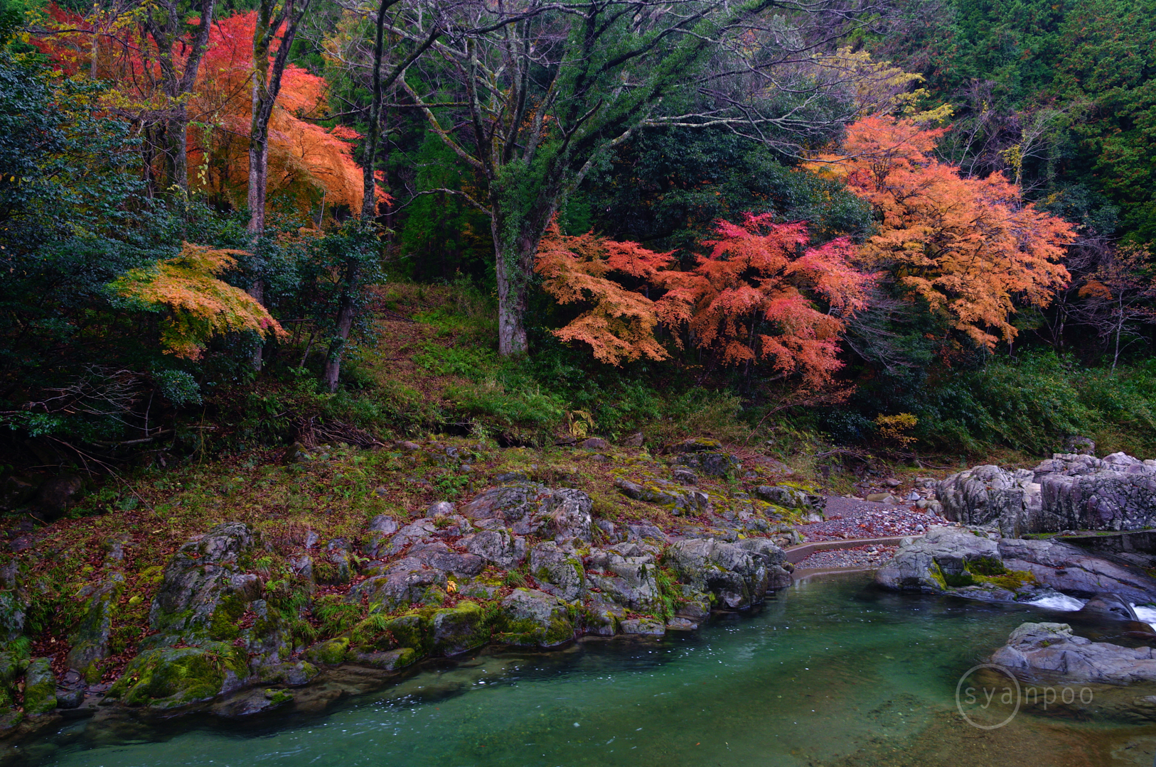 https://www.yaotomi.co.jp/blog/walk/SDIM8718%2C18%20mm%2CF5%2Ciso125%28JPEG%29.jpg