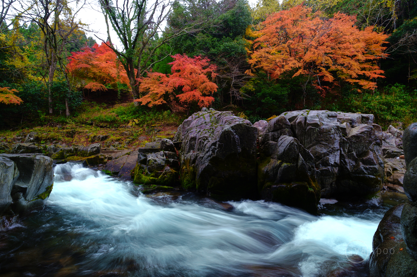 https://www.yaotomi.co.jp/blog/walk/SDIM8754%2C12%20mm%2CF10%2Ciso100%28JPEG%29.jpg