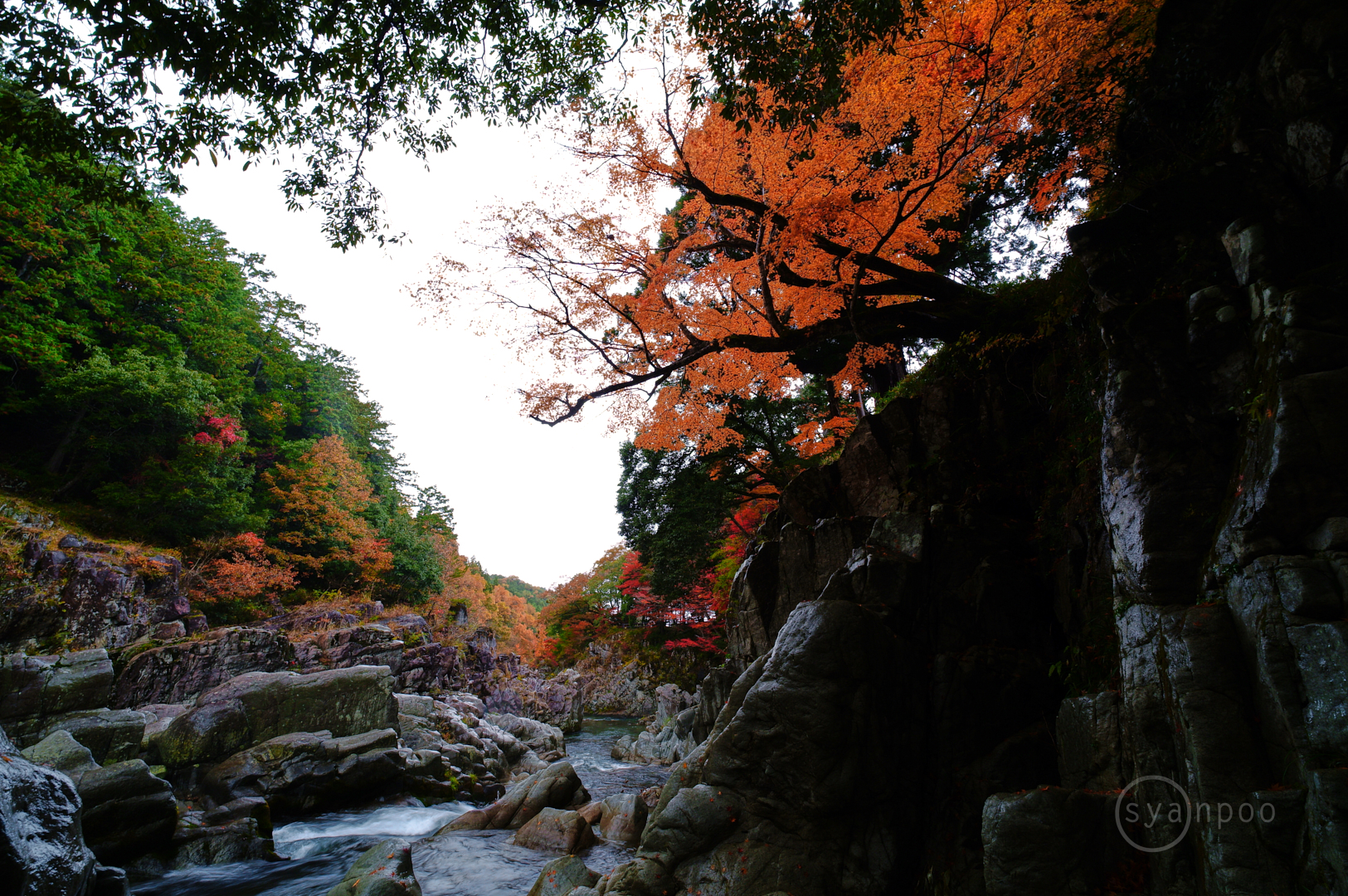 https://www.yaotomi.co.jp/blog/walk/SDIM8762%2C10%20mm%2CF10%2Ciso100%28JPEG%29.jpg