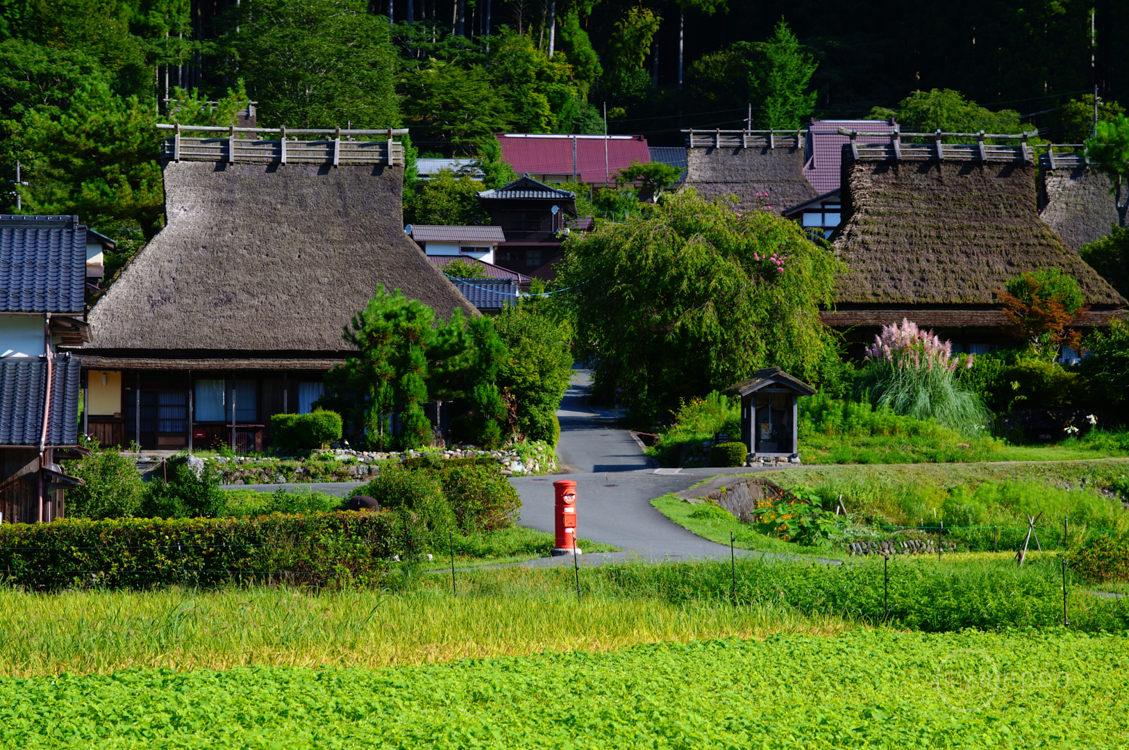 https://www.yaotomi.co.jp/blog/walk/SDIM8778%2C105%20mm%2CF8%2C1-100%20%E7%A7%92%2Ciso250%28JPEG%29.jpg