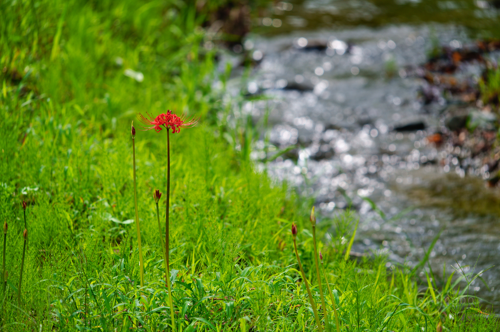 https://www.yaotomi.co.jp/blog/walk/SDIM8989%2C361%20mm%2CF6%2Ciso160%28JPEG%29.jpg