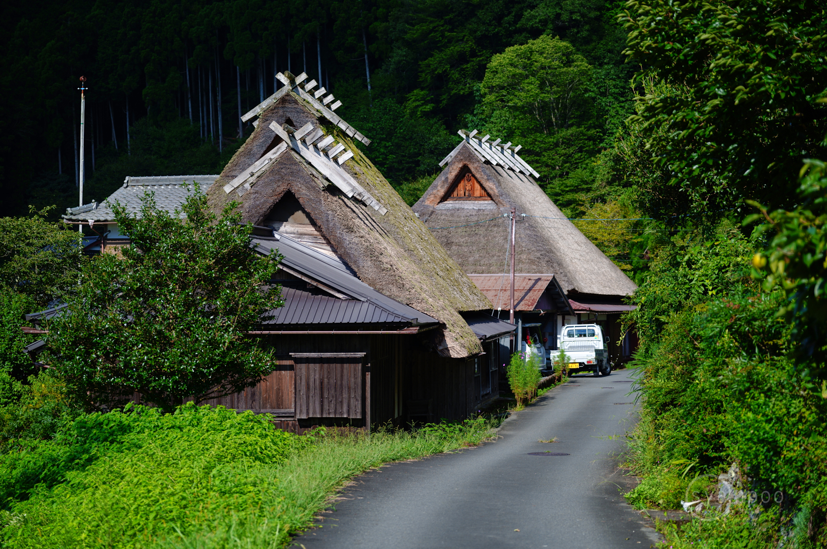 https://www.yaotomi.co.jp/blog/walk/SDIM9087%2C78%20mm%2CF2.8%2C1-640%20%E7%A7%92%2Ciso100%28JPEG%29.jpg