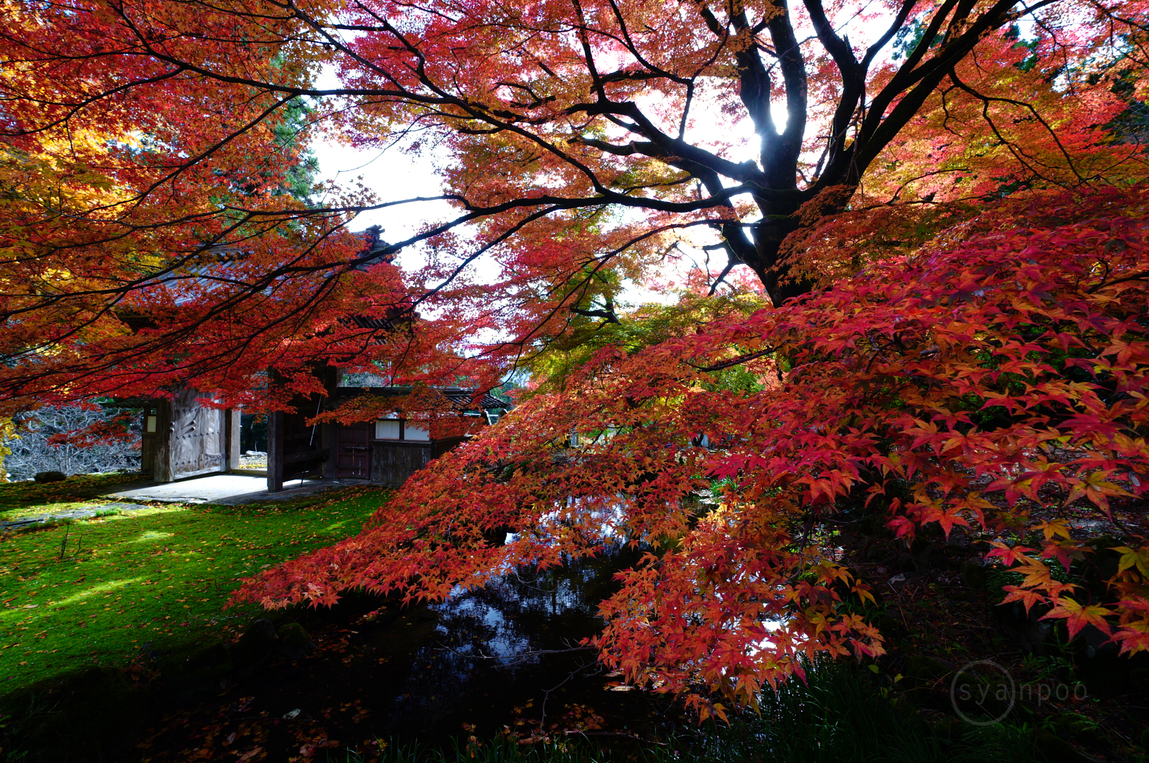 https://www.yaotomi.co.jp/blog/walk/SDIM9140%2C10%20mm%2CF5.6%2Ciso100%28JPEG%29.jpg