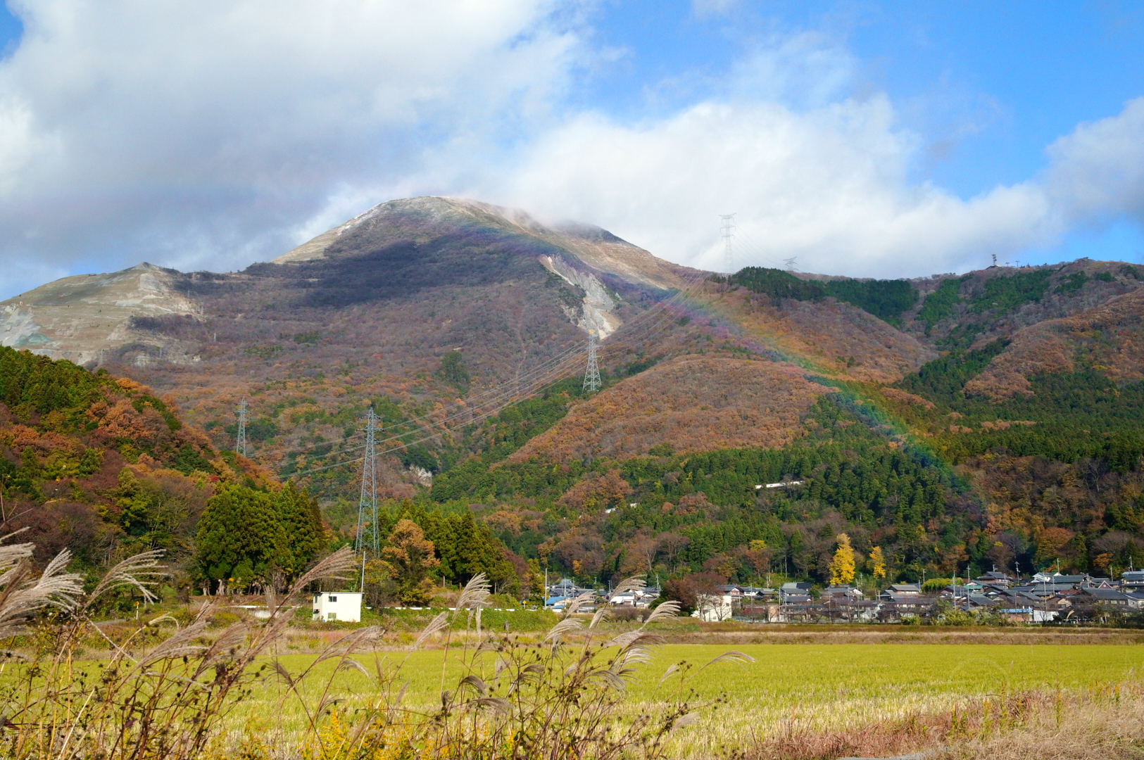 https://www.yaotomi.co.jp/blog/walk/SDIM9319%2C27%20mm%2CF10%2Ciso1600%28JPEG%29.jpg