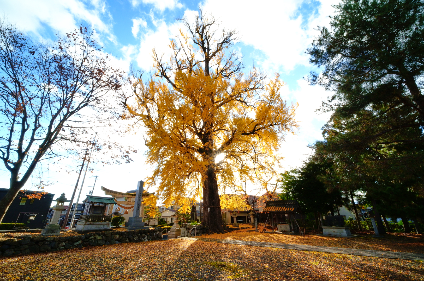 https://www.yaotomi.co.jp/blog/walk/SDIM9389%2C10%20mm%2CF22%2Ciso400%28JPEG%29.jpg