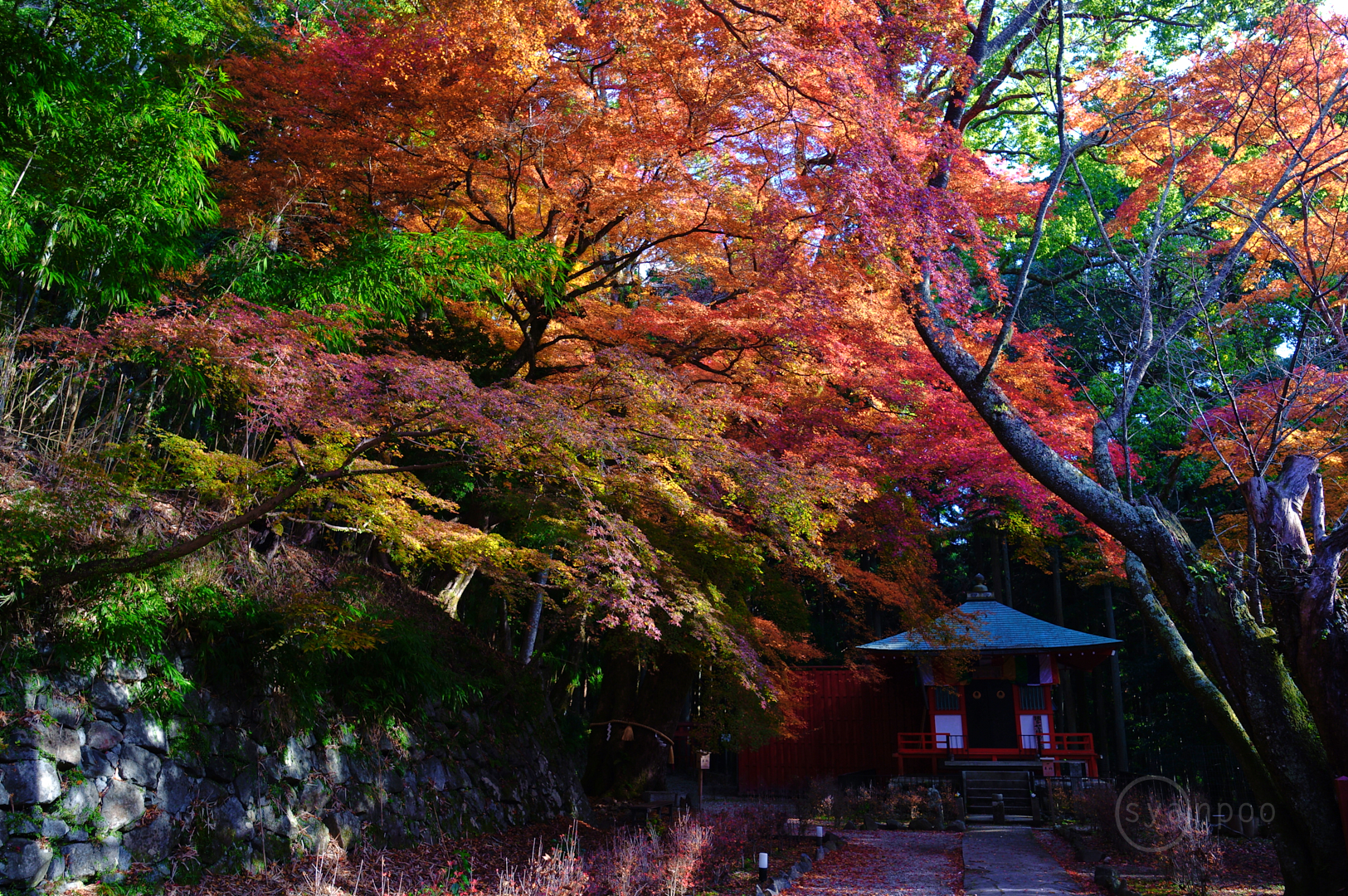 https://www.yaotomi.co.jp/blog/walk/SDIM9836%2C18%20mm%2CF6.3%2Ciso160%28JPEG%29.jpg