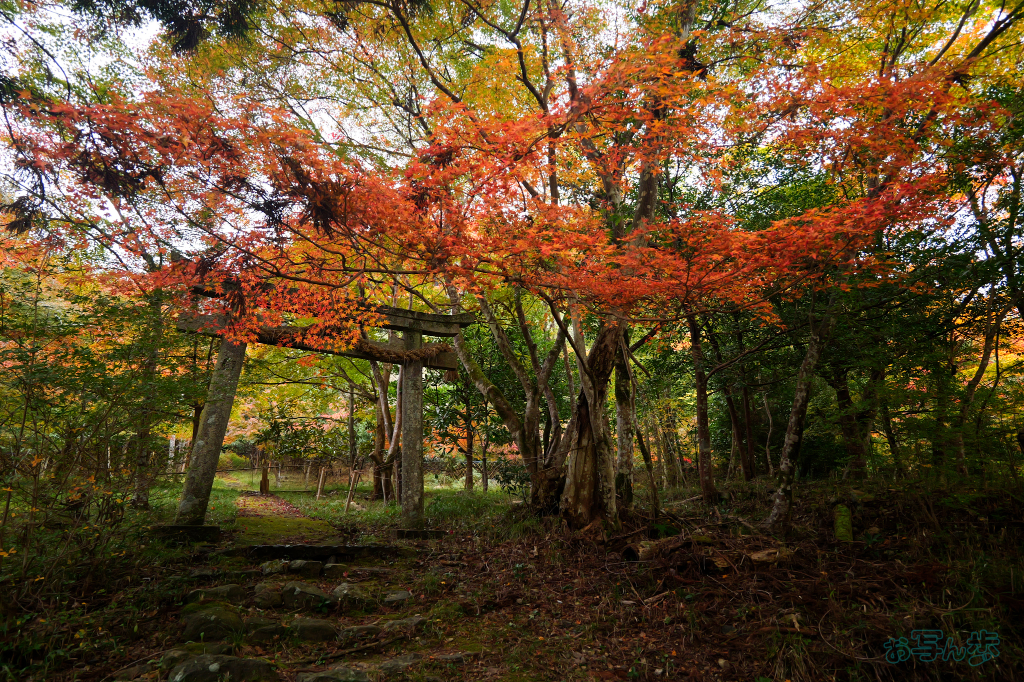 https://www.yaotomi.co.jp/blog/walk/_1000906my%2C18%20mm%2CF4.5%2Ciso2000%28JPEG%29.jpg