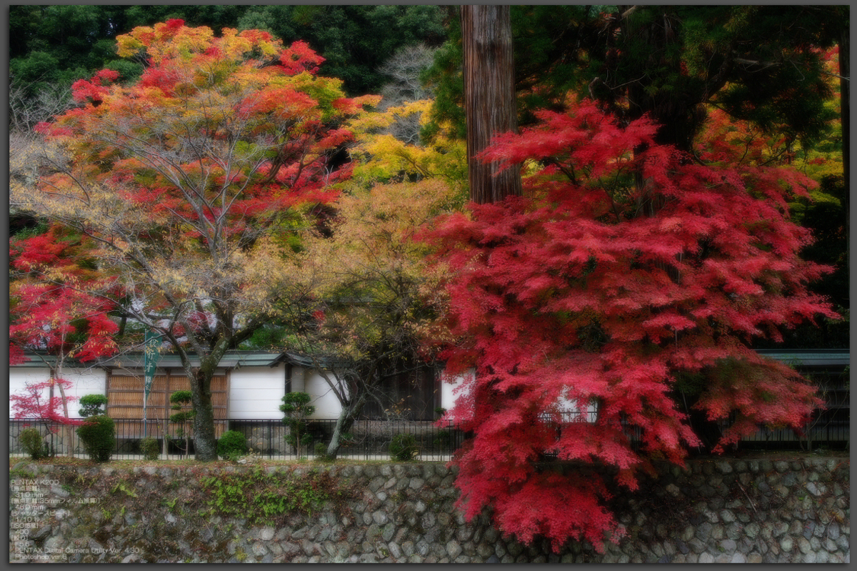 室生寺 紅葉 前編 Fa 31mm F1 8 Al Limited お写ん歩