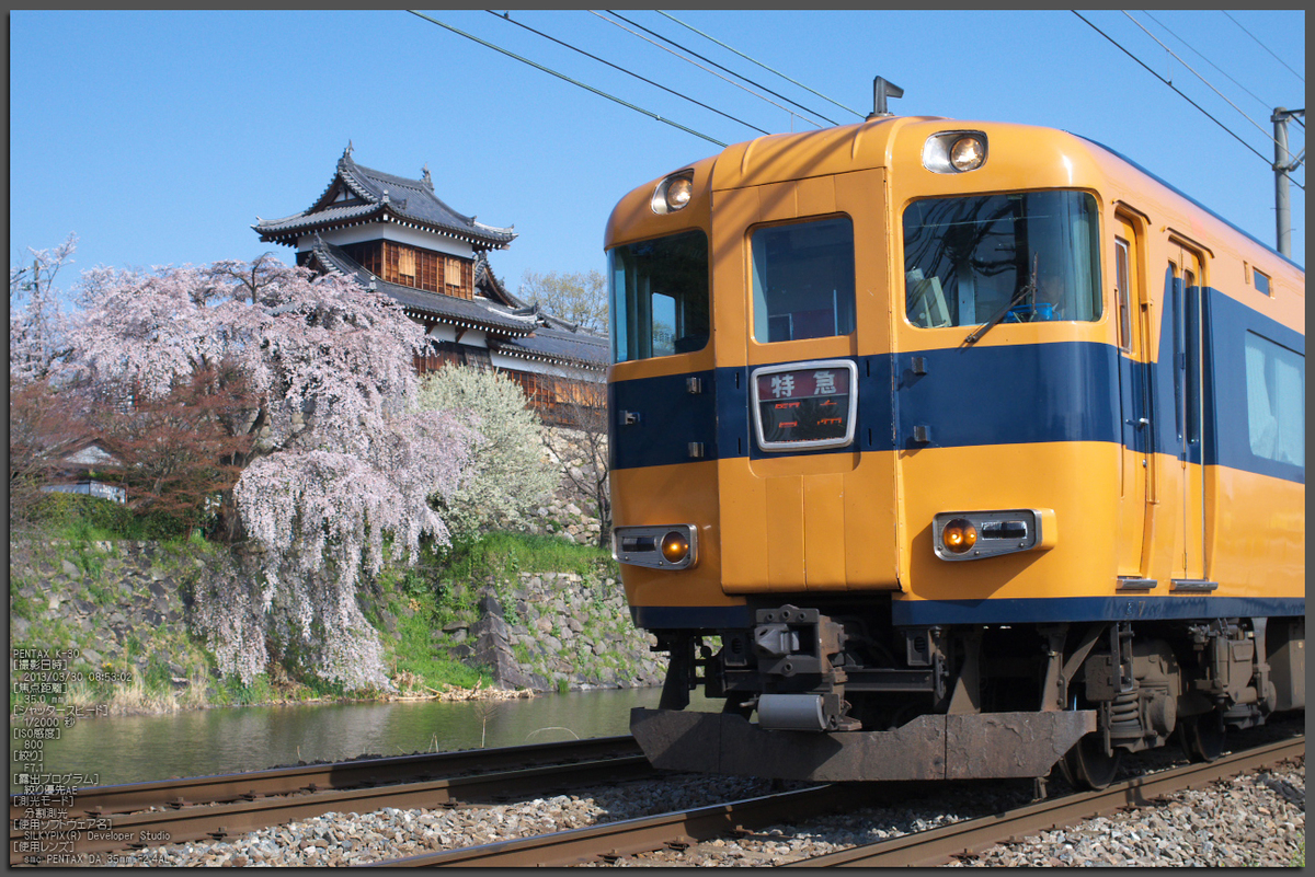 郡山城跡 奈良桜 13開花 Pentax K 30 お写ん歩