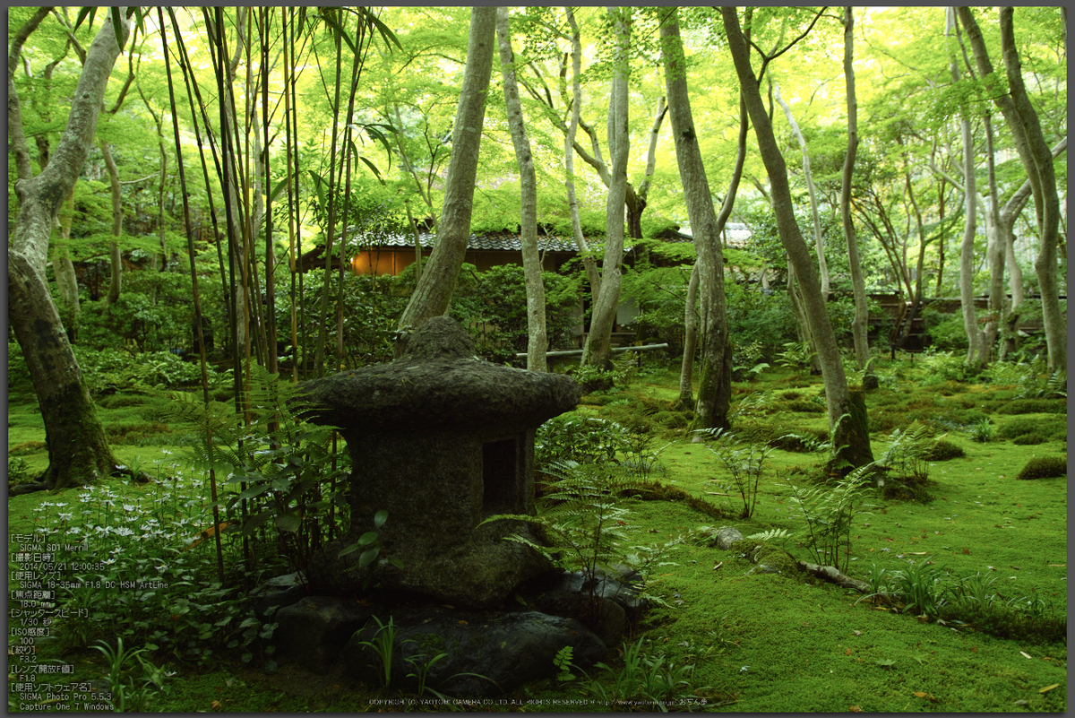 祇王寺 新緑 2014 ／ SIGMA 18-35mm F1.8 DC HSM Art with SD1Merrill