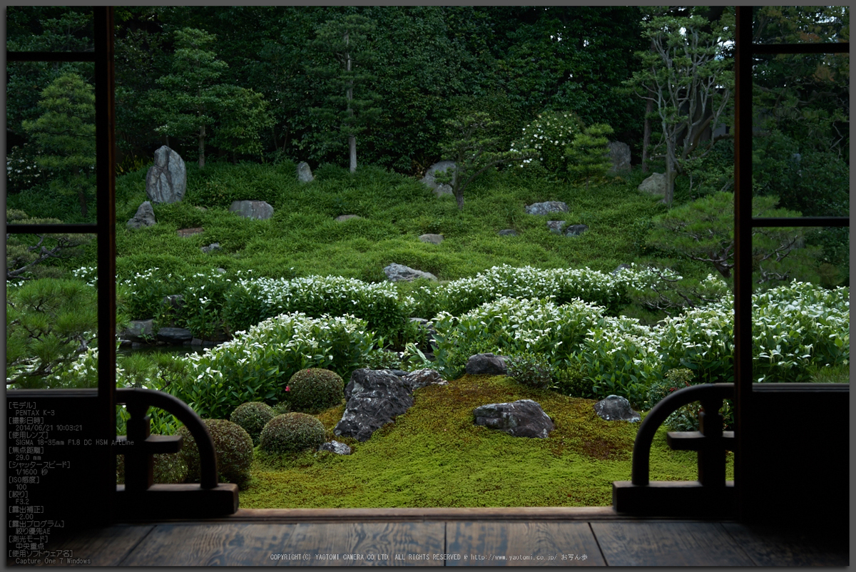 両足院 半夏生 2014 ／ SIGMA 18-35mm F1.8 DC HSM Art with PENTAX K