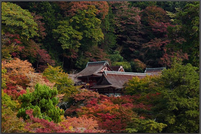 奈良 談山神社 紅葉 2014 / olympus om-d e-m1 (ver.2.0)