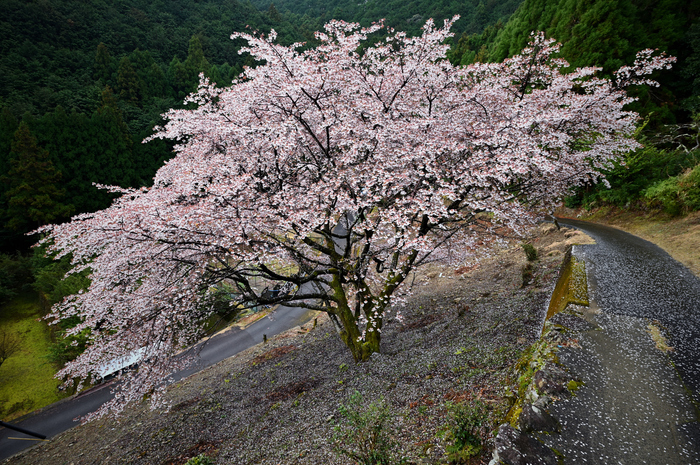 DSC_0505_00001,18 mm,F10,1-20 秒,iso280.jpg