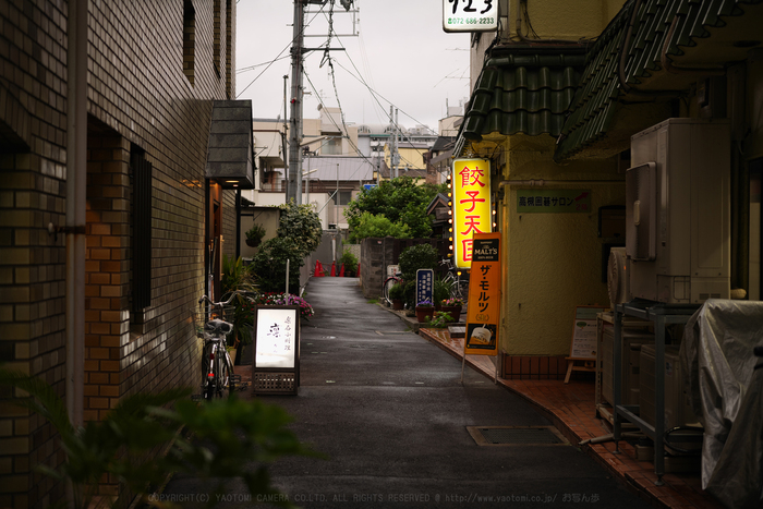 シグマ SIGMA 45mm F2.8 DG DN | Contemporary を着けて出かけよう