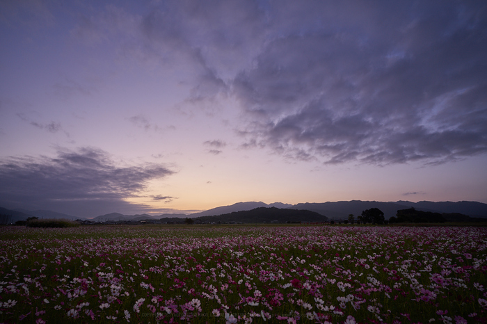 7II08963,17 mm,F13,iso100.jpg