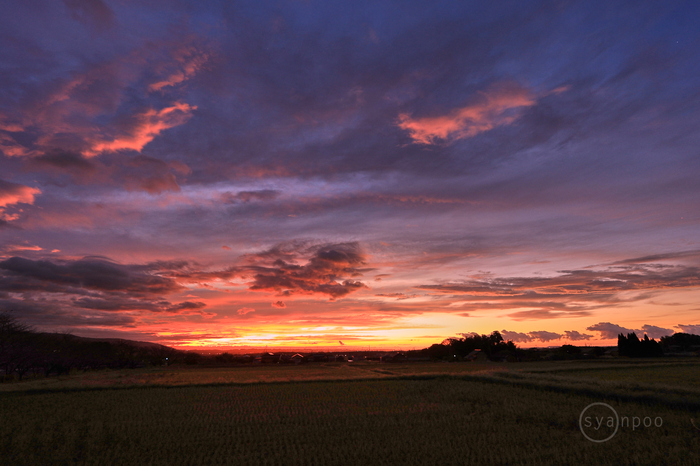 IMG_0056,10 mm,F7.1,0.6 秒,iso100(JPEG).jpg