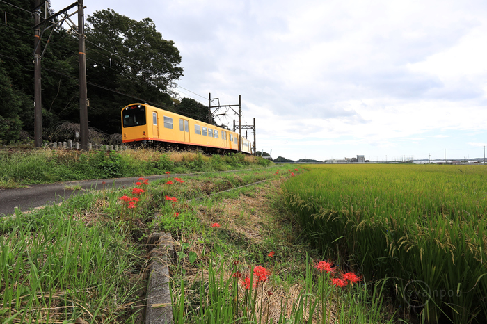 IMG_0702,10 mm,F7.1,1-160 秒,iso100(JPEG).jpg