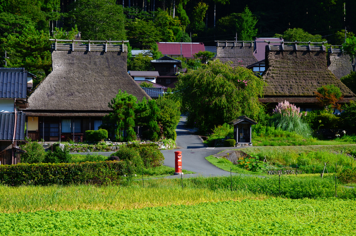 SDIM8778,105 mm,F8,1-100 秒,iso250(JPEG).jpg