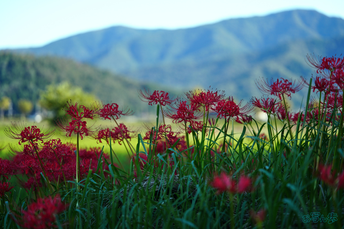 7RV03842,90 mm,F2.8,1-250 秒,iso100(JPEG).jpg