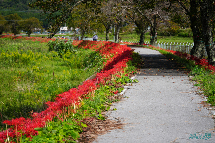 7RV04154,90 mm,F2.8,1-640 秒,iso100(JPEG).jpg