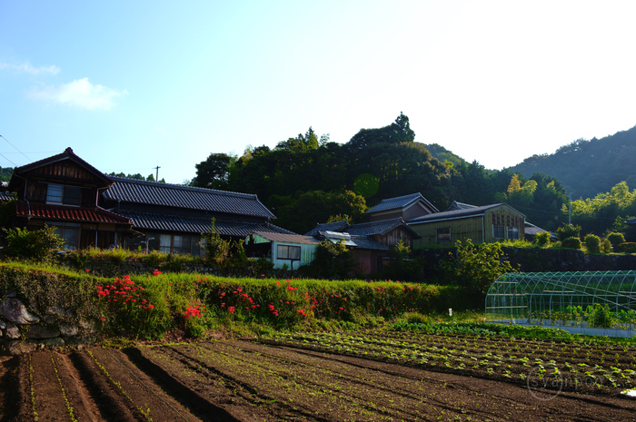 SDIM1100,28 mm,F8,1-60 秒,iso100(JPEG).jpg