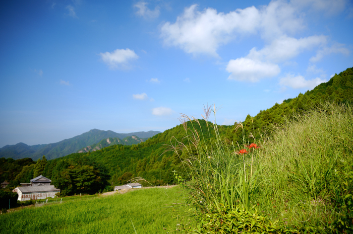 SDIM1201,28 mm,F2.8,1-500 秒,iso100(JPEG).jpg