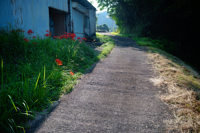 SDIM1261,28 mm,F2.8,1-200 秒,iso100(JPEG).jpg