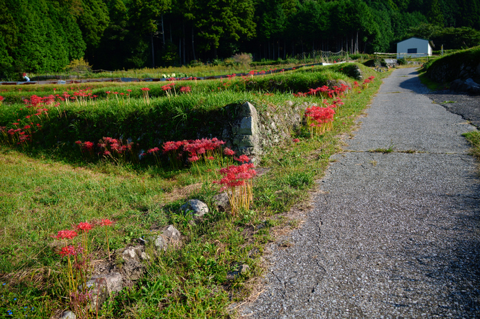 SDIM1324,28 mm,F3.2,1-400 秒,iso100(JPEG).jpg