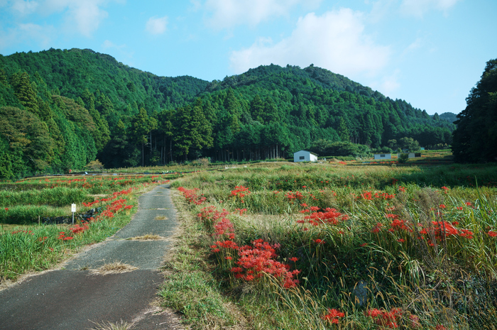 SDIM1345,28 mm,F3.2,1-640 秒,iso100(JPEG).jpg