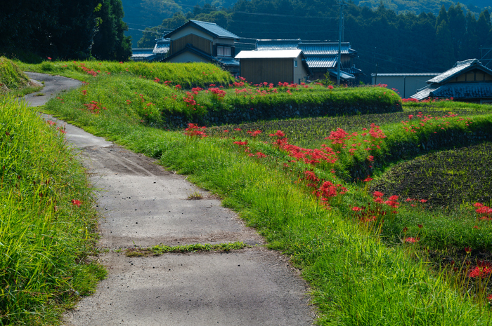 SDIM1382,67 mm,F13,1-60 秒,iso200(JPEG) 1.jpg