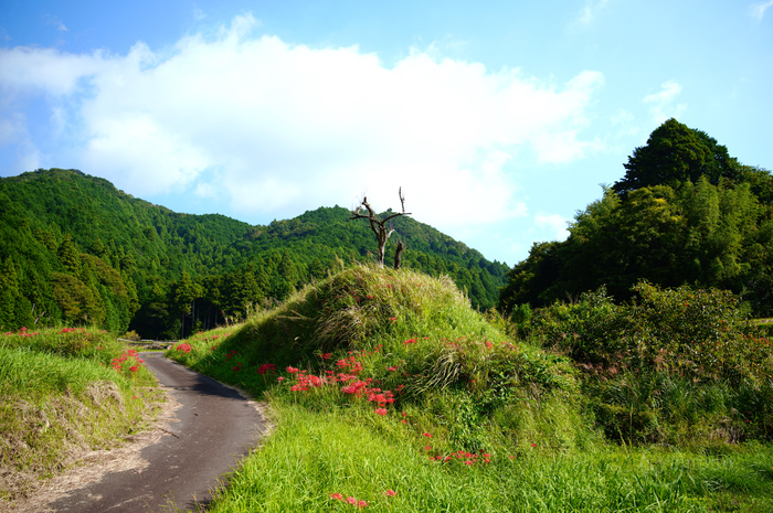 SDIM1459,28 mm,F3.2,1-320 秒,iso100(JPEG).jpg